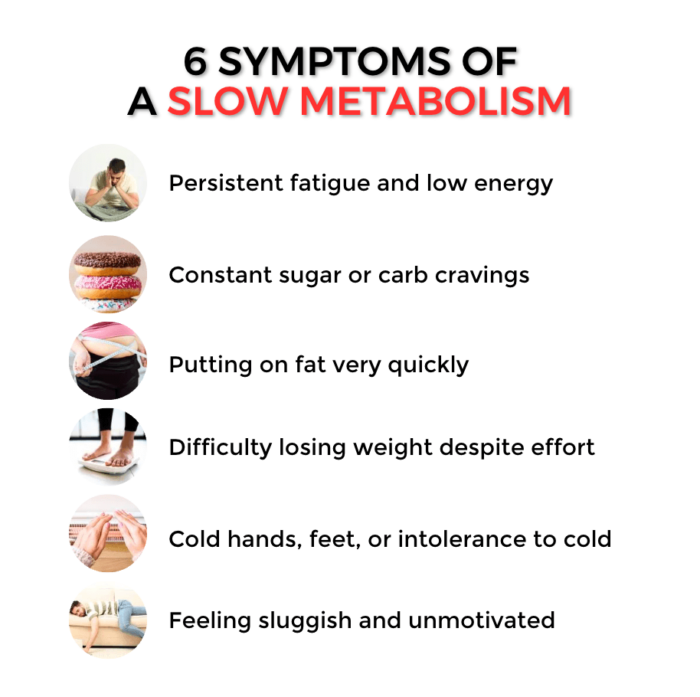Metabolism Booster Bundle - Image 3